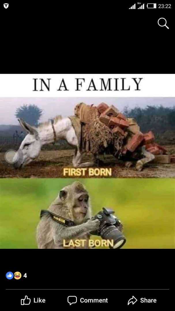 tapatalk_1564222447086.jpeg