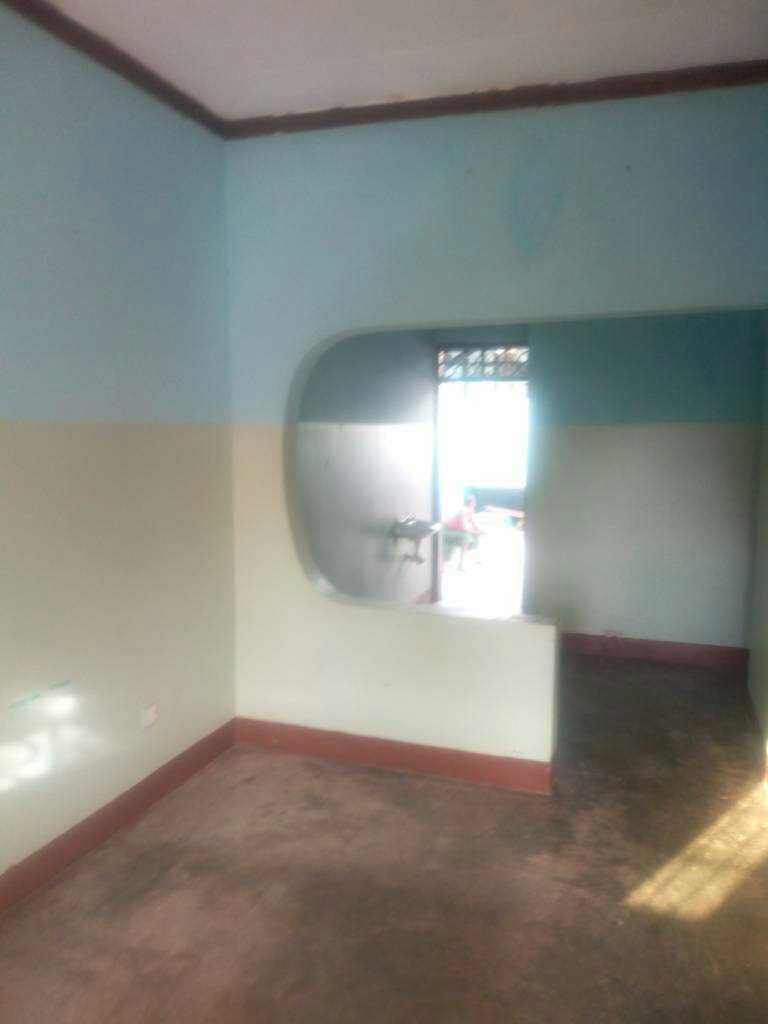 tapatalk_1573550478691.jpeg