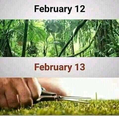 tapatalk_1581590939557.jpeg