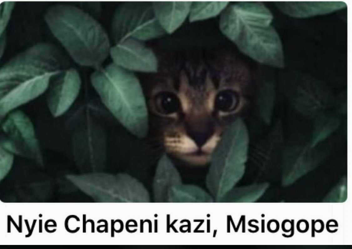 tapatalk_1589212192934.jpeg