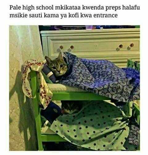 tapatalk_jpeg_1511797863380.jpg