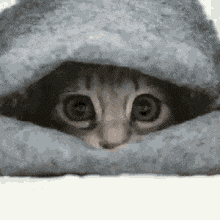 tenor(29).gif