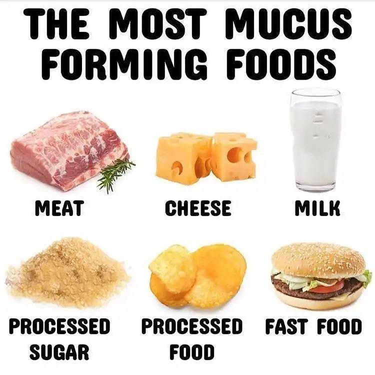 THE MOST MUCUS FORMING FOODS.jpg