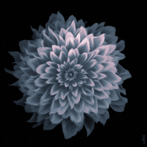 Tumblr_l_50142278800090.gif