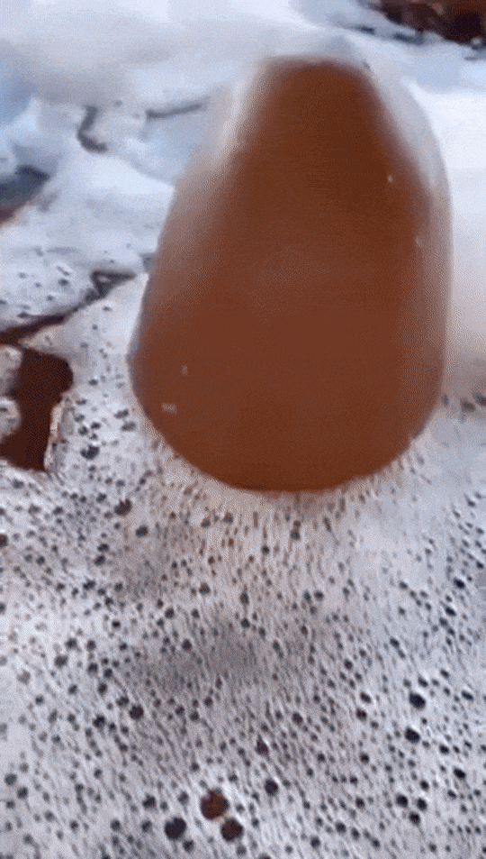Tumblr_l_605257528916455.gif
