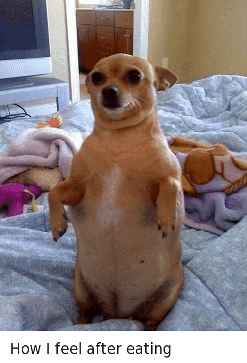 Twitter-How-I-feel-after-eating-713d75.png
