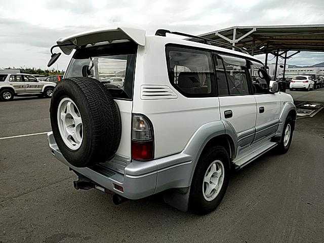 TY259367-12.jpg
