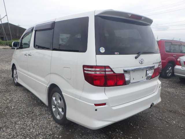 TY265477-14.jpg