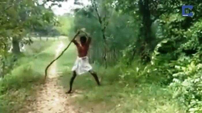 ular-kobra_1512_1_20151215_093919.jpg
