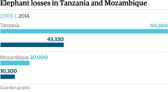 untitledhjj.png