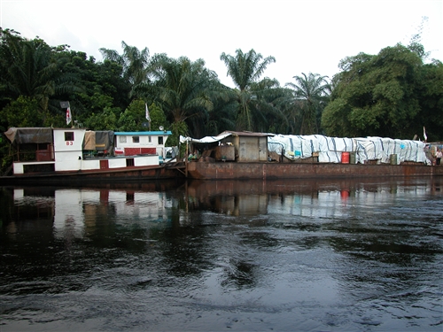 V-P-CD-E-00029_500.JPG