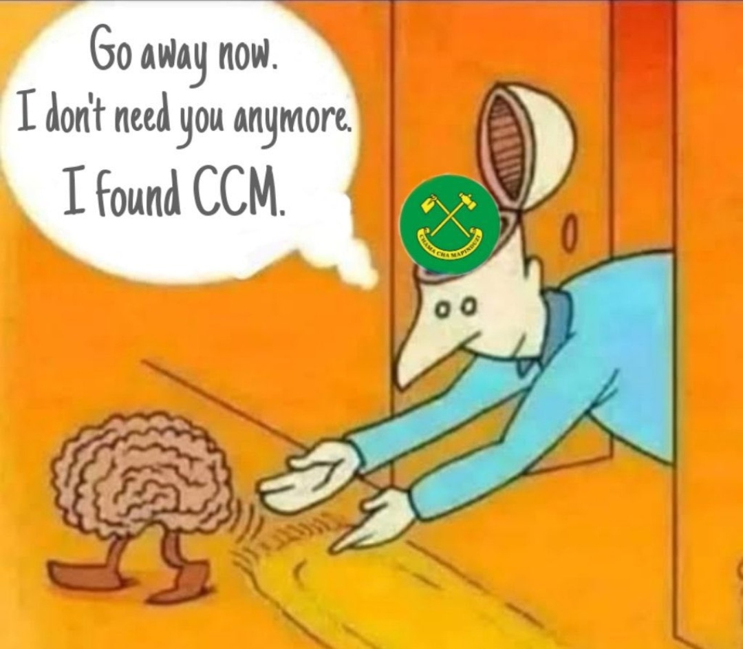 -vbxhui.jpg