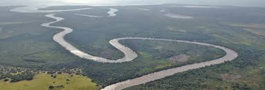 WAMI RIVER.jpg