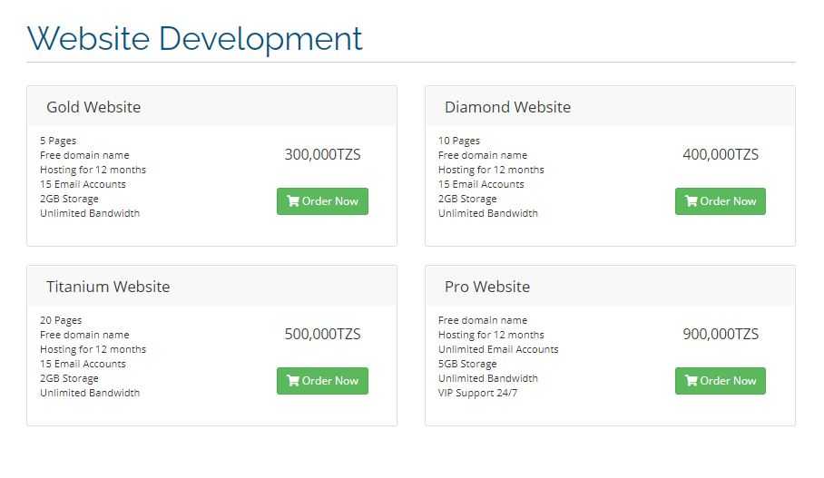 WEBSITE DEVELOPMENT.JPG