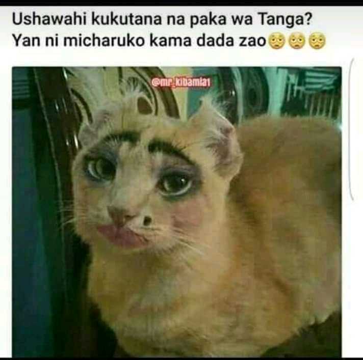 WhatsApp Image 2019-02-02 at 12.23.14.jpeg