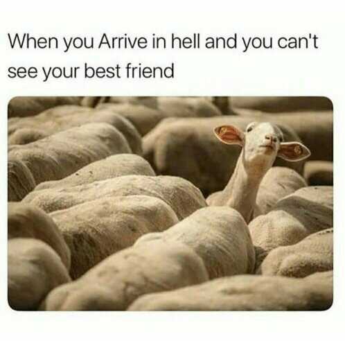 when-you-arrive-in-hell-and-you-cant-see-your-35461616_1.jpeg