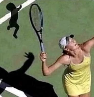 Where Can You Find Funny Pictures_.jpeg