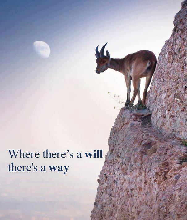 Where There Is a  a Will _...There Is A Way ...._3.jpg