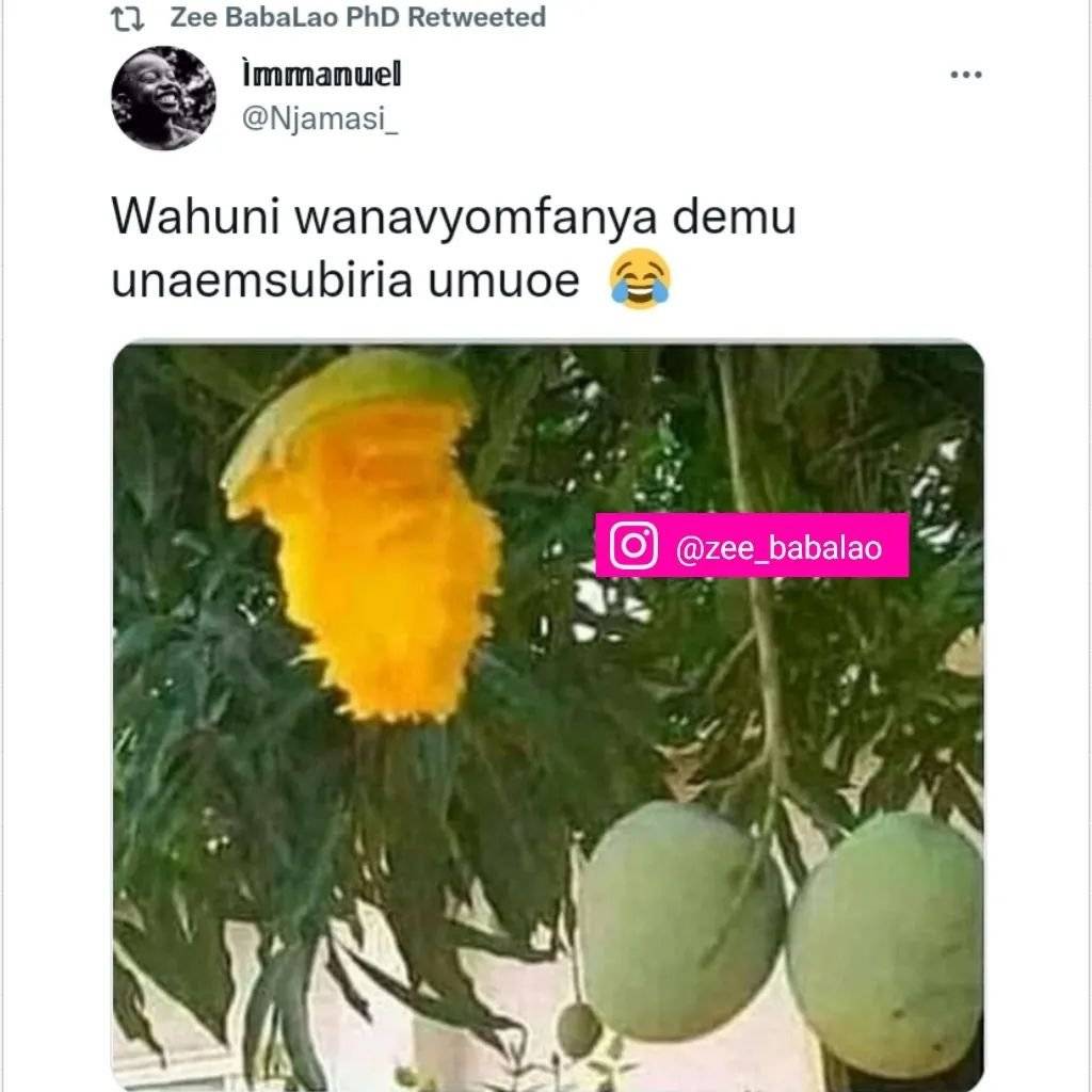 zee_babalao~p~CZKjZZfrFRz~1.jpg