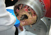 grinder_10.jpg grinder_10.jpg