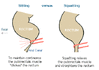 sitting%20vs%20squatting.gif