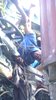 Picture 021.jpg