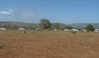 P1000087.JPG