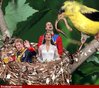 Royal-Birdies--85533.jpg