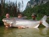 CATFISH.jpg