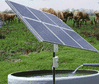 Solar-Water-Pump.gif