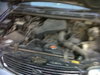IMG00043-20110918-1659.jpg