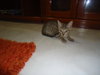 DSC00870.JPG