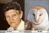 ed-marlo-totally-looks-like-an-owl.jpg