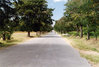 Kawawa Road.jpg Kawawa Road.jpg