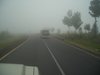 Pictures from old camera 147.jpg