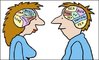 male_and_female_brains_118055.jpg