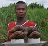 big snails ghana 1.jpg