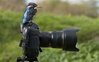 kingfisher-camera_2219752i.jpg