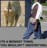 monkey thing.jpg