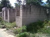 IMG00115-20120731-1148.jpg