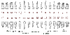 Tooth Numbering System.gif