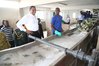 kikwete na mananasi huko ghana.jpg kikwete na mananasi huko ghana.jpg