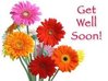 Get-Well-Soon-Sms.jpeg