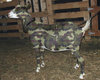 mxcpcamouflage-goat.jpg