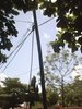 IMG0184A.jpg