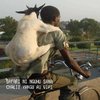 mbuzi mzee kachoka.jpg