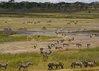 serengeti-national-park-feb8-2013.jpg