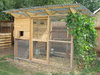 walk-in-chicken-coop-1.jpg