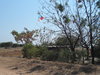 Chadema-01.JPG