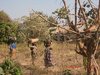 Akina+mama+wakibeba+mizigo+na+watoto,+kijiji+cha+Kagera+Nkanda+wilaya+ya+Kasulu+-+Kigoma.jpg Akina+mama+wakibeba+mizigo+na+watoto,+kijiji+cha+Kagera+Nkanda+wilaya+ya+Kasulu+-+Kigoma.jpg